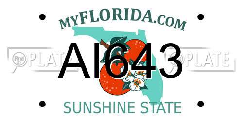 AI643 Florida License Plate