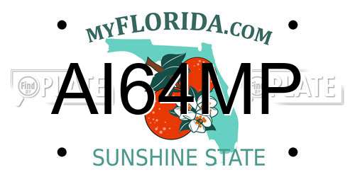 AI64MP Florida License Plate