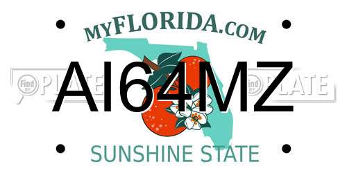 AI64MZ Florida License Plate
