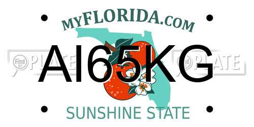 AI65KG Florida License Plate