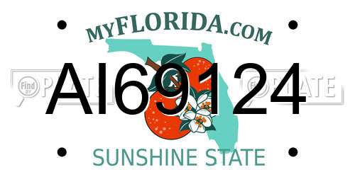 AI69124 Florida License Plate