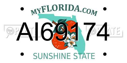 AI69174 Florida License Plate