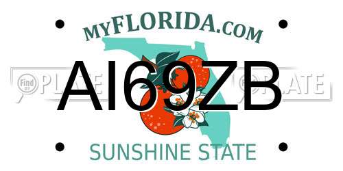 AI69ZB Florida License Plate