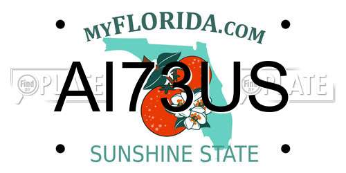 AI73US Florida License Plate