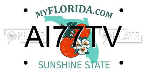 AI77TV Florida License Plate