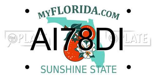 AI78DI Florida License Plate