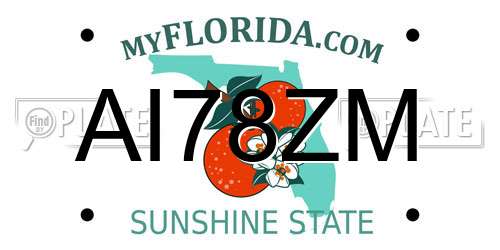 AI78ZM Florida License Plate