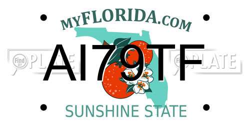 AI79TF Florida License Plate