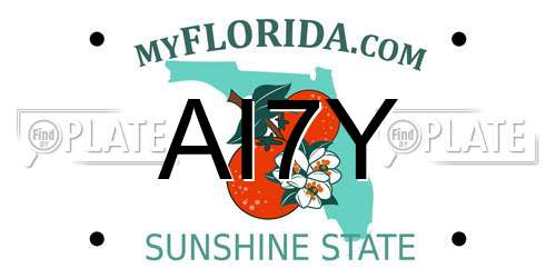 AI7Y Florida License Plate
