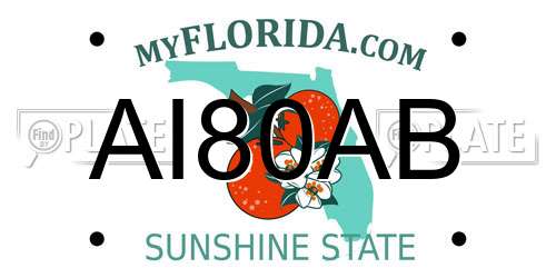 AI80AB Florida License Plate