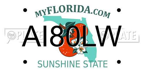AI80LW Florida License Plate