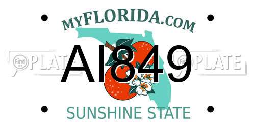 AI849 Florida License Plate