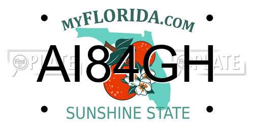 AI84GH Florida License Plate