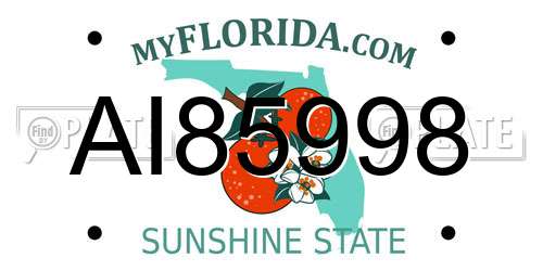 AI85998 Florida License Plate