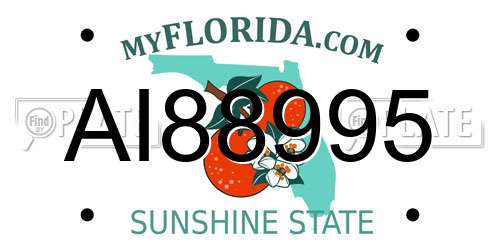 AI88995 Florida License Plate