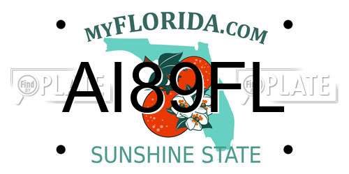 AI89FL Florida License Plate