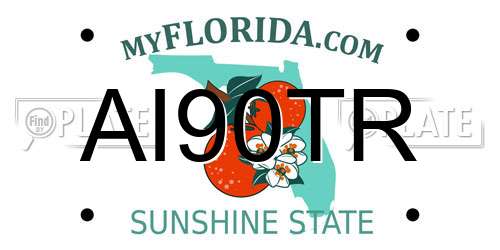 AI90TR Florida License Plate