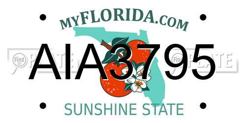 AIA3795 Florida License Plate