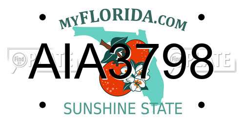 AIA3798 Florida License Plate