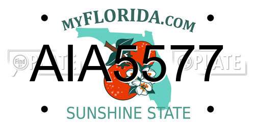 AIA5577 Florida License Plate