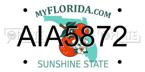 AIA5872 Florida License Plate