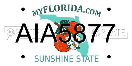 AIA5877 Florida License Plate
