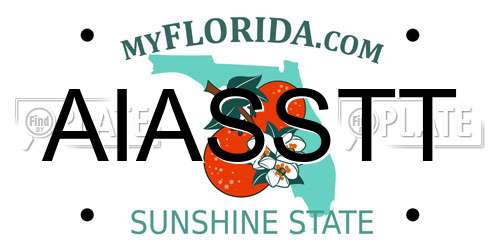 AIASSTT Florida License Plate