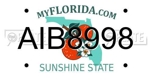 AIB8998 Florida License Plate