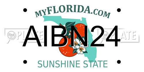 AIBN24 Florida License Plate