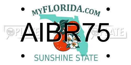 AIBR75 Florida License Plate