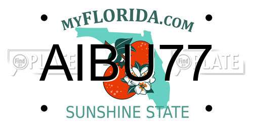 AIBU77 Florida License Plate