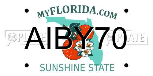 AIBY70 Florida License Plate