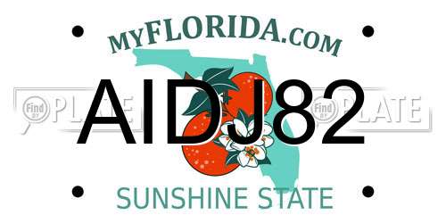 AIDJ82 Florida License Plate