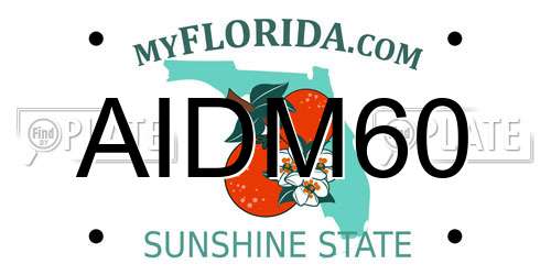 AIDM60 Florida License Plate