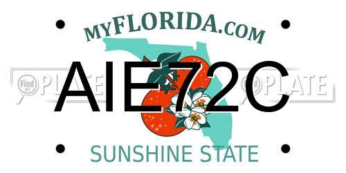 AIE72C Florida License Plate