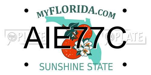 AIE77C Florida License Plate