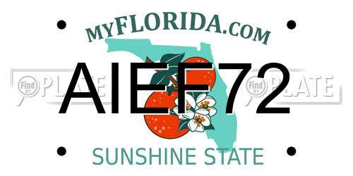 AIEF72 Florida License Plate