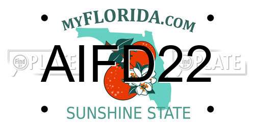 AIFD22 Florida License Plate