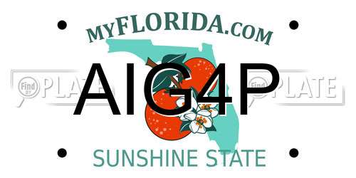 AIG4P Florida License Plate