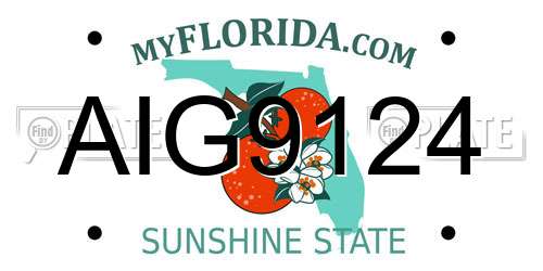 AIG9124 Florida License Plate