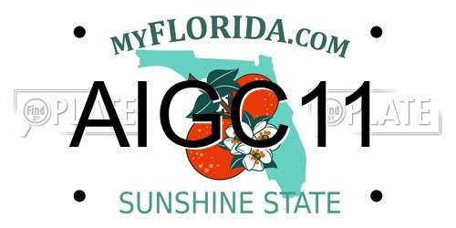 AIGC11 Florida License Plate