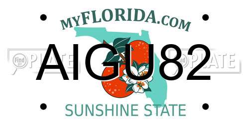 AIGU82 Florida License Plate