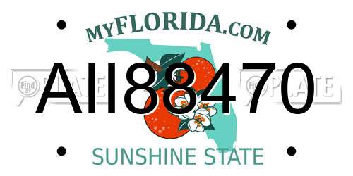 AII88470 Florida License Plate