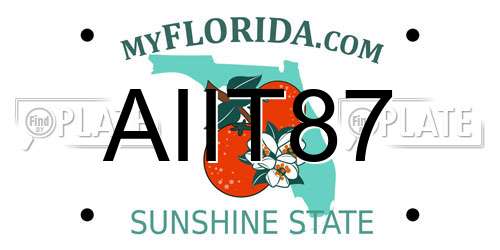 AIIT87 Florida License Plate
