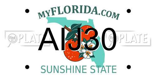 AIJ30 Florida License Plate