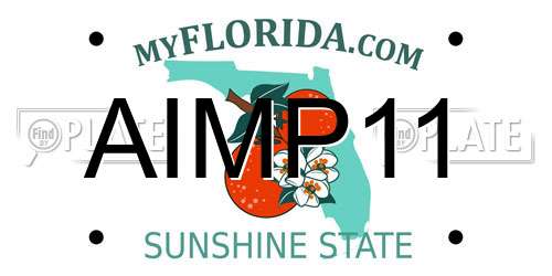 AIMP11 Florida License Plate