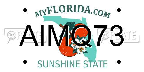 AIMQ73 Florida License Plate