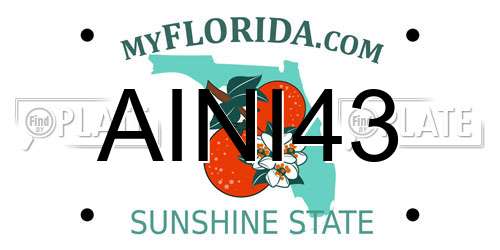 AINI43 Florida License Plate