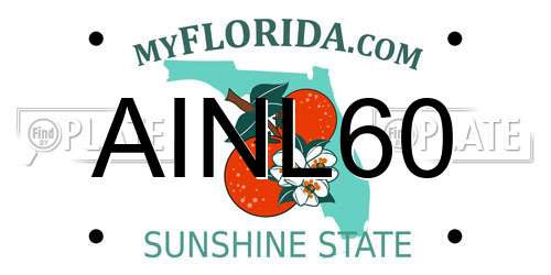 AINL60 Florida License Plate