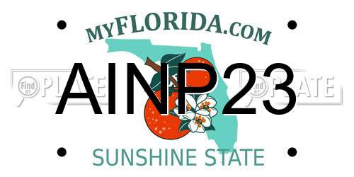 AINP23 Florida License Plate